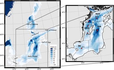 A Regime Shift Toward a More Anoxic Environment in a Eutrophic Sea in Northern Europe